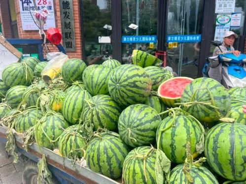 靖江小网红吃瓜群微信,揭秘网络八卦背后的故事